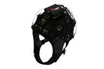 BrainBit DragonEEG