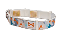 BrainBit Headband
